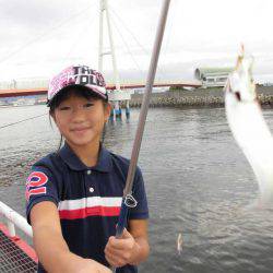 尼崎市立魚つり公園 釣果