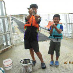 下関フィッシングパーク 釣果