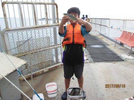 下関フィッシングパーク 釣果