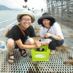 下関フィッシングパーク 釣果