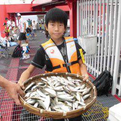 尼崎市立魚つり公園 釣果