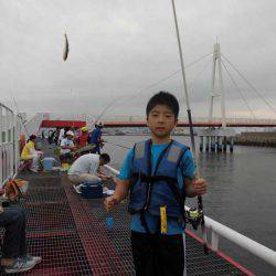 尼崎市立魚つり公園 釣果