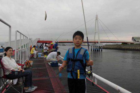 尼崎市立魚つり公園 釣果
