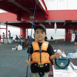 尼崎市立魚つり公園 釣果