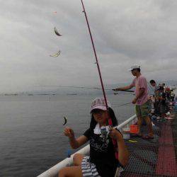 尼崎市立魚つり公園 釣果