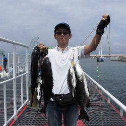 尼崎市立魚つり公園 釣果