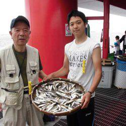 尼崎市立魚つり公園 釣果