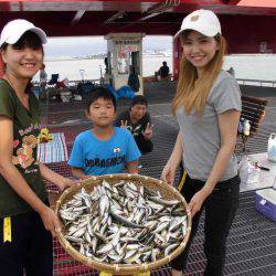 尼崎市立魚つり公園 釣果