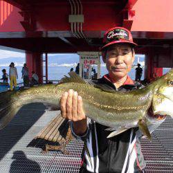 尼崎市立魚つり公園 釣果