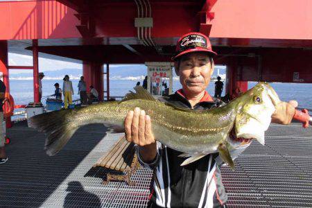 尼崎市立魚つり公園 釣果