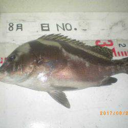 姫路市立遊魚センター 釣果