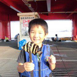 尼崎市立魚つり公園 釣果