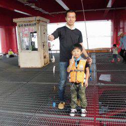 尼崎市立魚つり公園 釣果