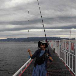 尼崎市立魚つり公園 釣果