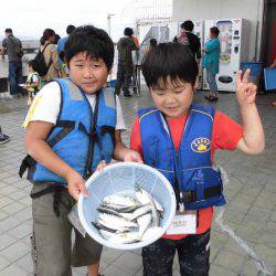 尼崎市立魚つり公園 釣果