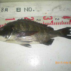 姫路市立遊魚センター 釣果