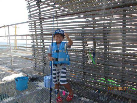 下関フィッシングパーク 釣果