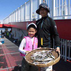 尼崎市立魚つり公園 釣果