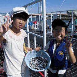 尼崎市立魚つり公園 釣果