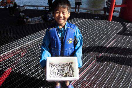 尼崎市立魚つり公園 釣果