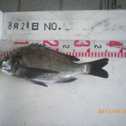 姫路市立遊魚センター 釣果