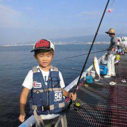 尼崎市立魚つり公園 釣果