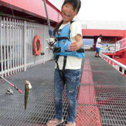 尼崎市立魚つり公園 釣果