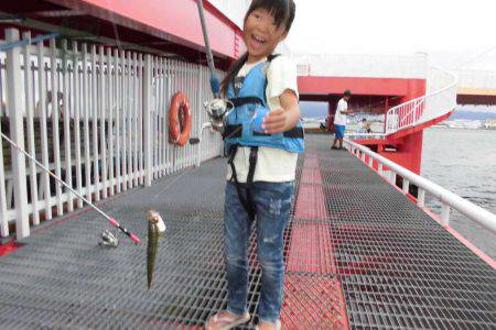 尼崎市立魚つり公園 釣果