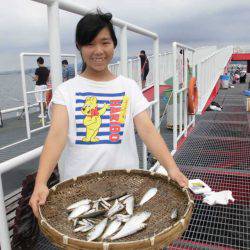 尼崎市立魚つり公園 釣果