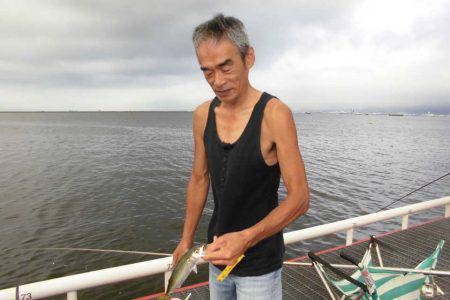 尼崎市立魚つり公園 釣果