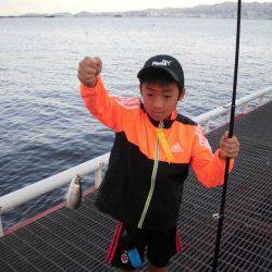 尼崎市立魚つり公園 釣果