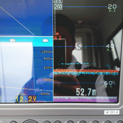 遊漁船ブルーウッズ 釣果