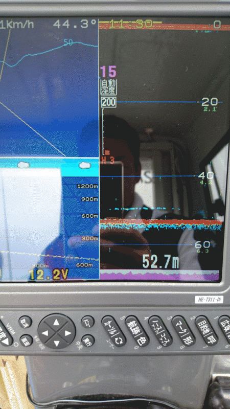 遊漁船ブルーウッズ 釣果