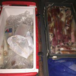 幸風（さちかぜ） 釣果