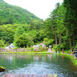 小菅トラウトガーデン 釣果