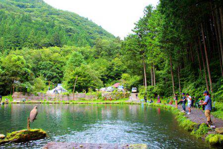 小菅トラウトガーデン 釣果