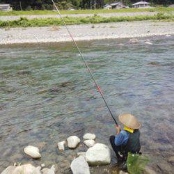 安倍川・藁科川(安倍藁科川漁業協同組合) 釣果