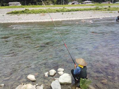 安倍川・藁科川（安倍藁科川漁業協同組合） …