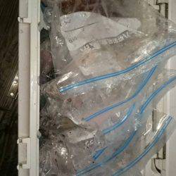 寿裕 （YOSHIHIRO） 釣果