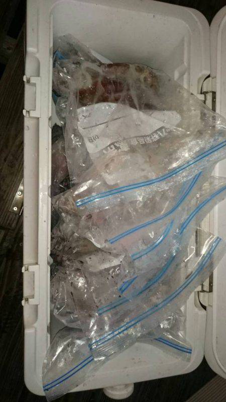 寿裕 （YOSHIHIRO） 釣果