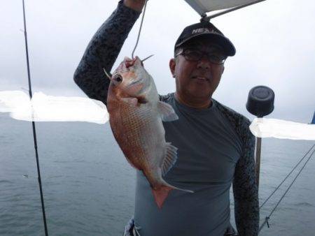 遊漁船 幸友丸 釣果