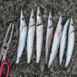 本日も五目達成❕