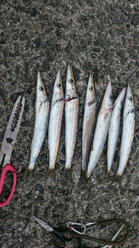 本日も五目達成❕