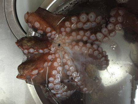 タコ・豆アジ・チャリコ