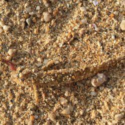 のんびり五目釣り