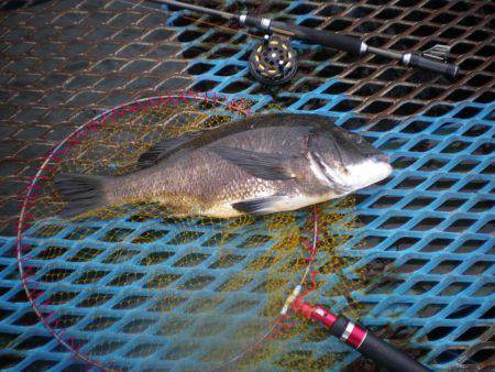 オリジナルメーカー海づり公園(市原市海づり…