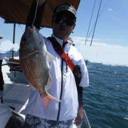 遊漁船 幸友丸 釣果