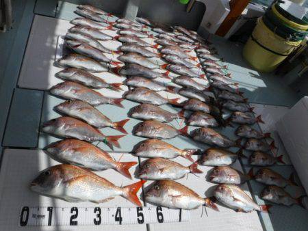 遊漁船 幸友丸 釣果