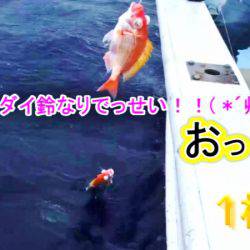 ＫＹＯＥＩⅢ 釣果