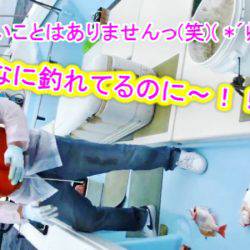 ＫＹＯＥＩⅢ 釣果